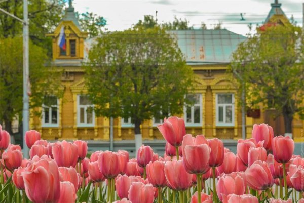 Рязань поздней весной