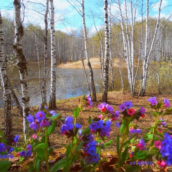 Свято-Успенский кафедральный собор Тула