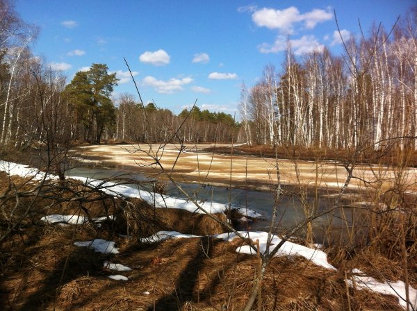 Рязанский Кремль весной