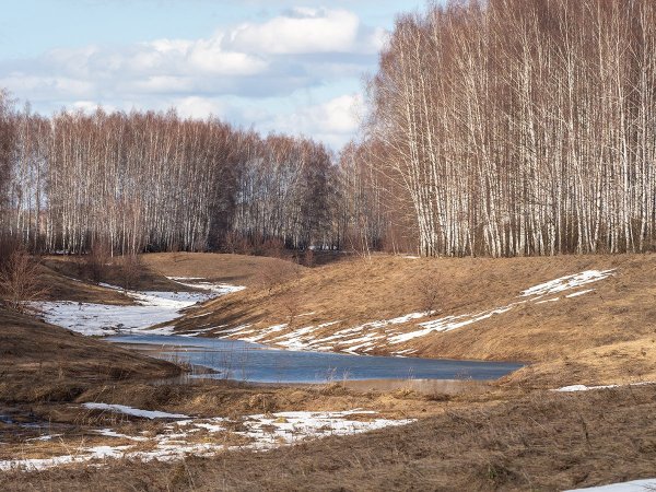 Рязань летом