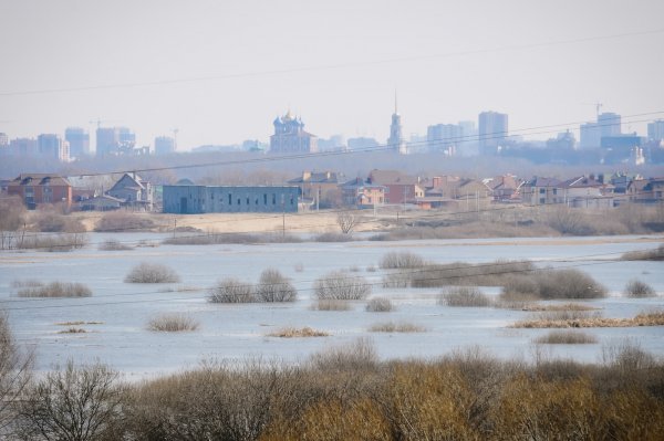 Сад в начале мая