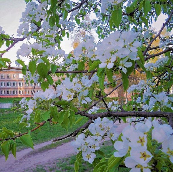 Соборная площадь набережная