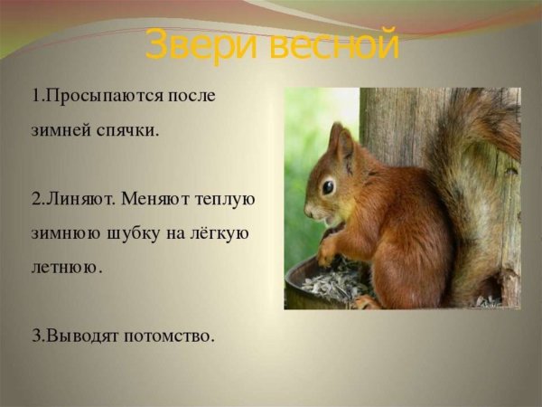 Шпиленок Игорь Камчатка