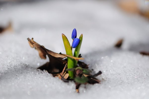 Ощущение весны