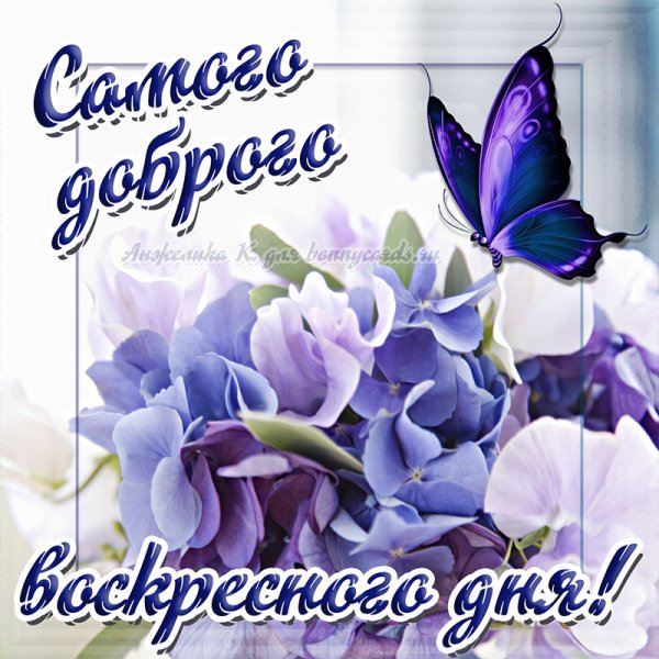 Хорошего воскресенья
