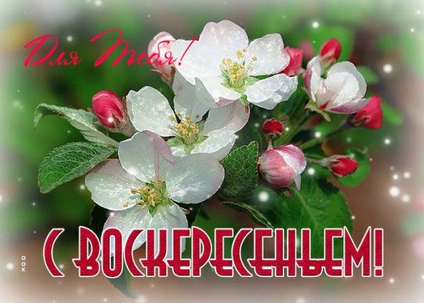 Открытки с добрым утром воскресенья