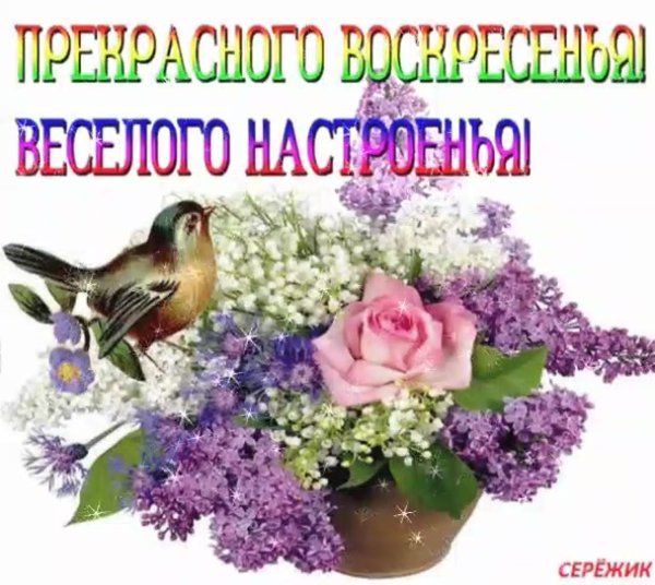 Доброго весеннего воскресного дня
