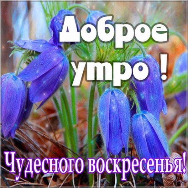 Доброго воскресного дня Весна