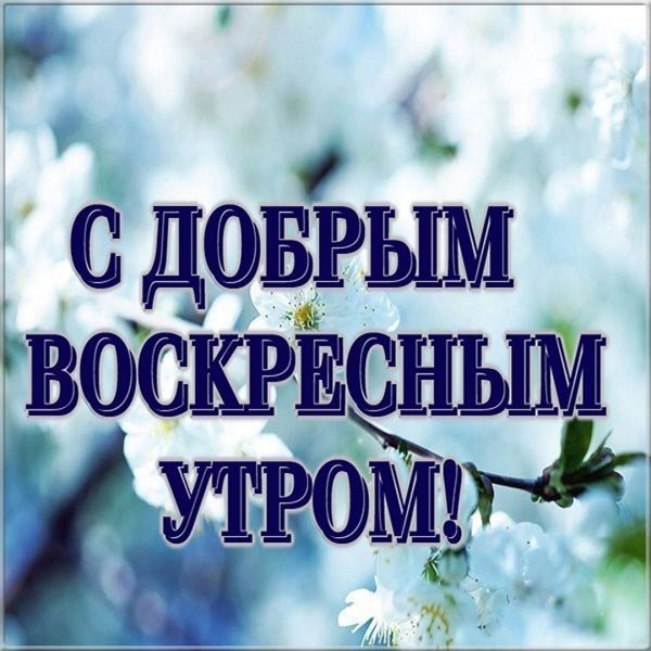 Приветик с весной