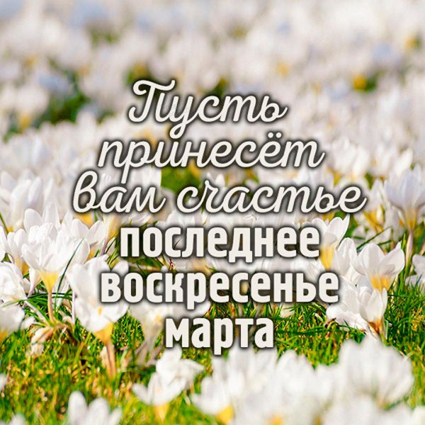 Доброе Весеннее утро четверга