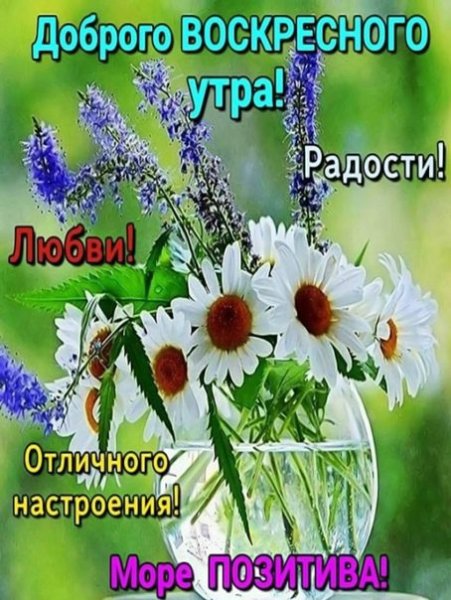 Открытки с добрым утром воскресенья