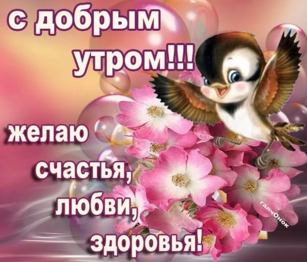 Радостных дней и прекрасных мгновений