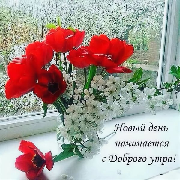 Доброе Воскресное мартовское утро