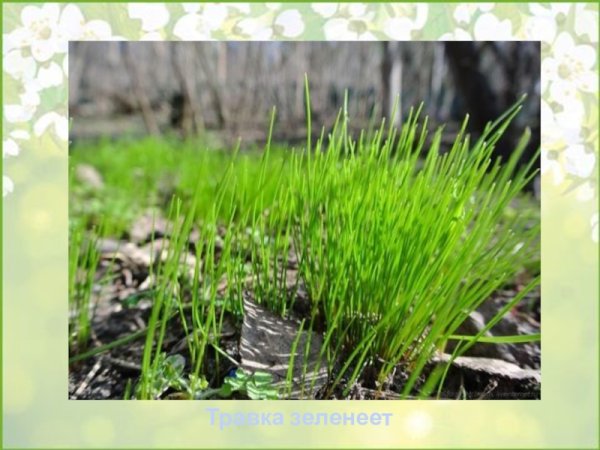 Подтаявший снег