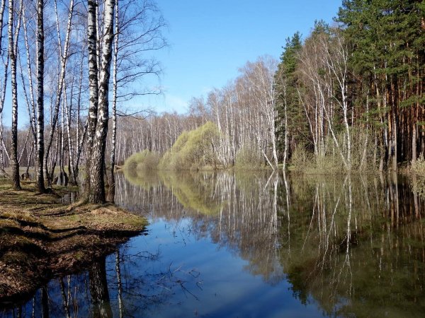 Весенние пейзажи Подмосковья