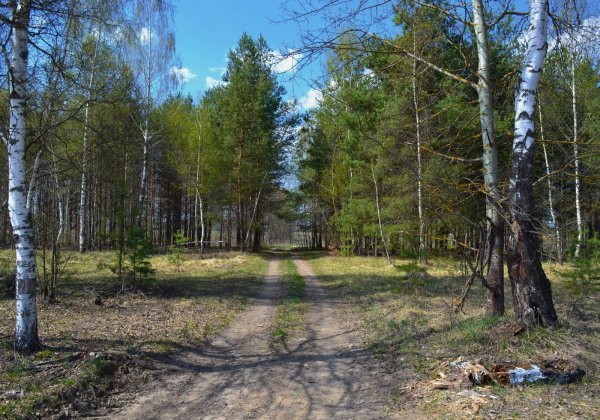 Весна в Подмосковье