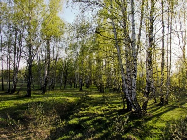 Весна в Подмосковье