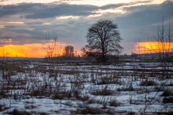Природа Подмосковья весной