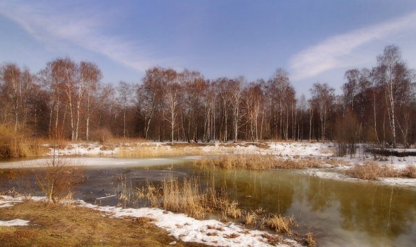 Весна в Подмосковье