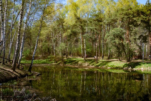 Красивые места Подмосковья весной