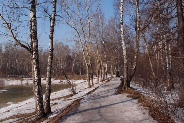 Пейзажи Подмосковья весной
