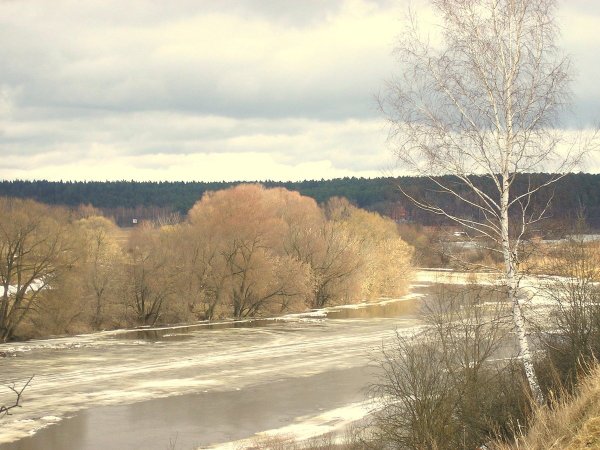 Верба с Николо Угрешским монастырём