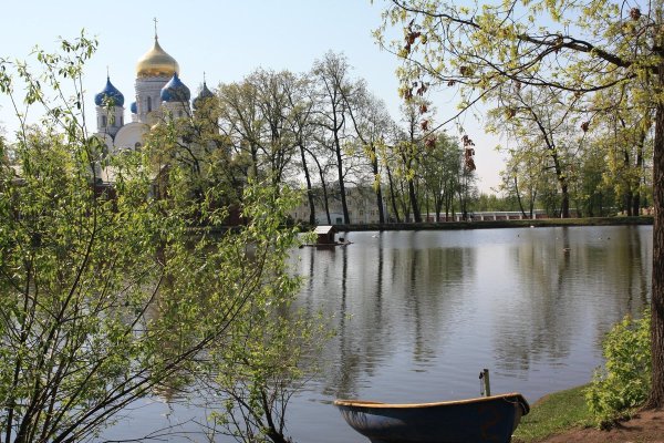 Ранняя Весна Подмосковье