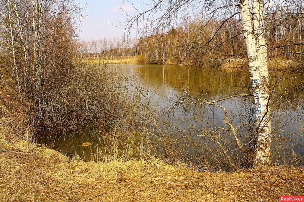Весеннее половодье