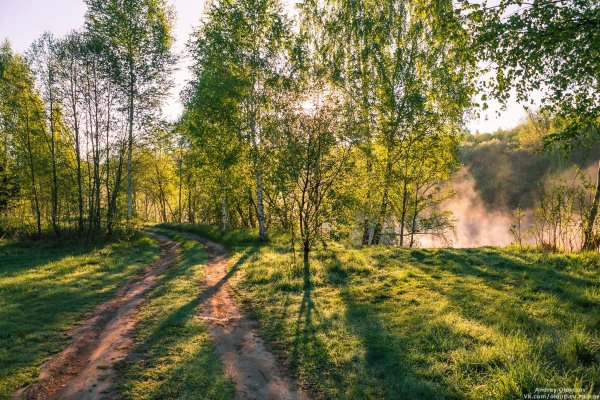 Медуница хохлатка лес Поляна