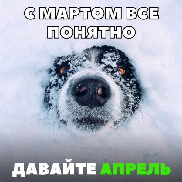 Доброго весеннего утра юмор