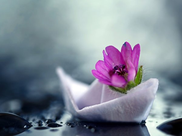 Душевные цветы