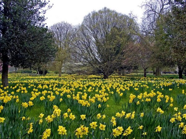 Вивальди Весна