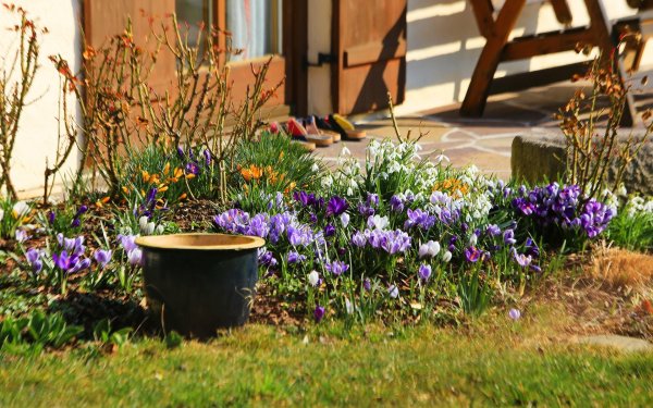 Дача. Весна