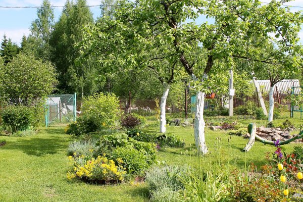 Дача весной