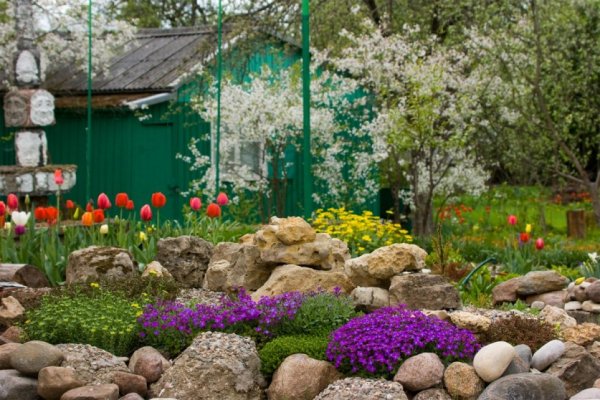 Дача. Весна