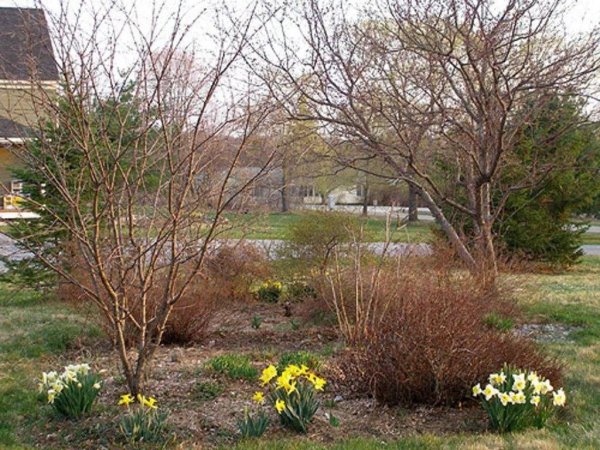 Участок весной