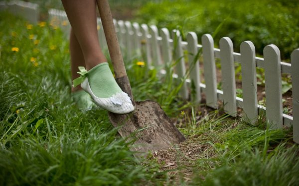 Весна начало дачного сезона