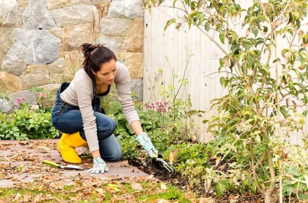 Уборка на даче