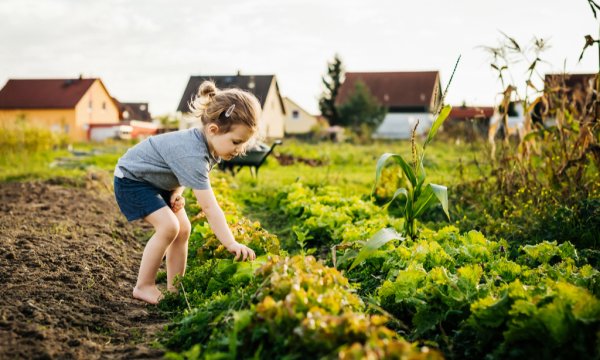 Летом на даче