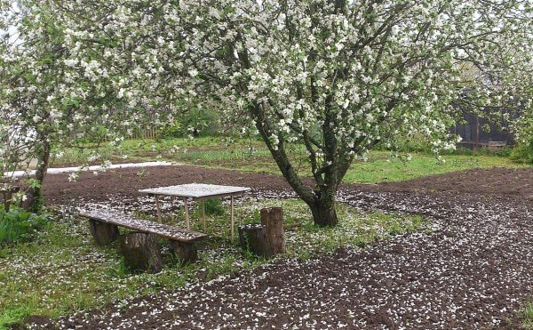 Ранняя Весна на даче