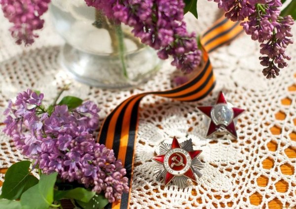 Сирень Победы