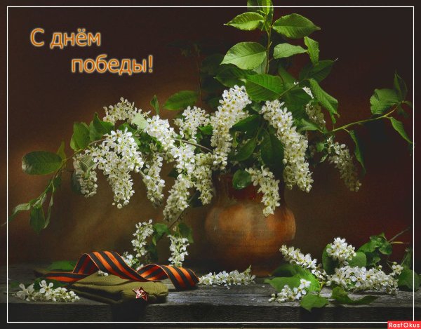 Фотонатюрморты с днем Победы