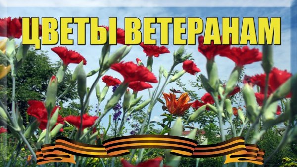 Цветы ветеранам