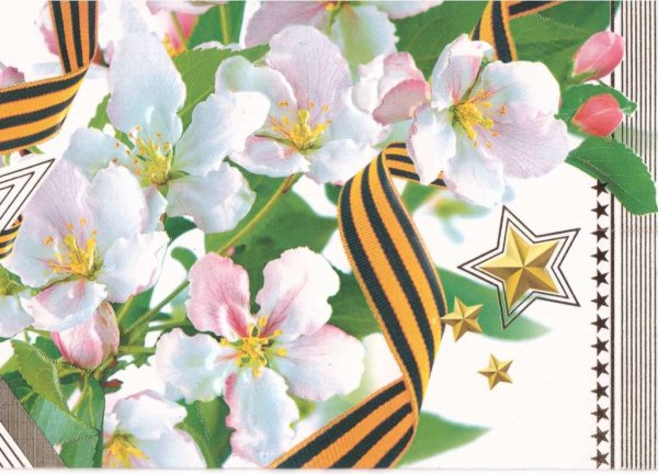 День Победы цветы фон