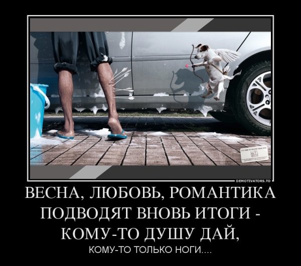 Весна и мартовские коты