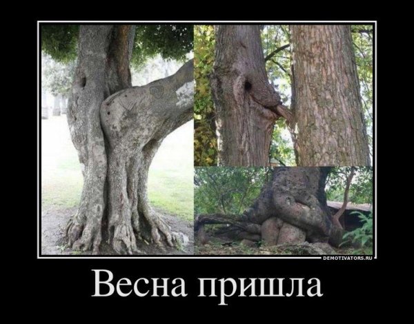 Вася Ложкин март