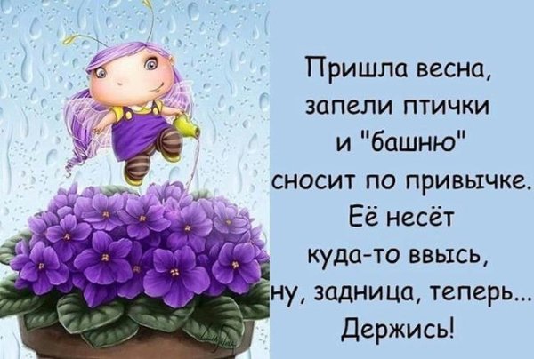 Зимние смешные коты