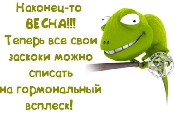 Снеговик и животные