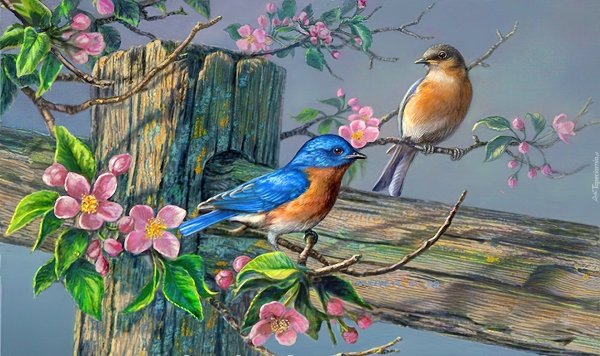 Красивые иллюстрации