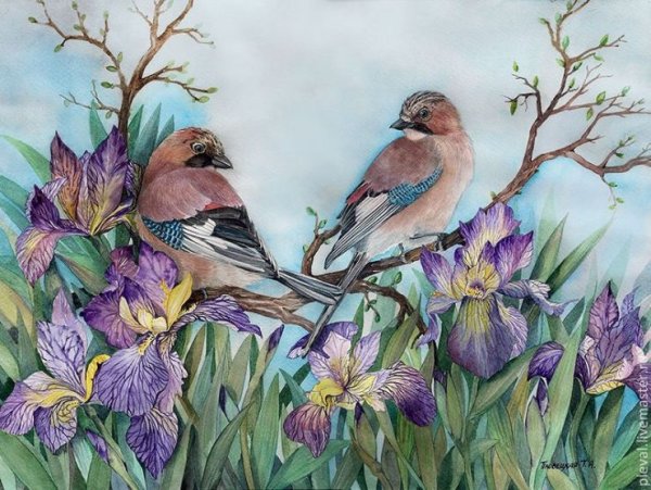 Сакура на синем фоне